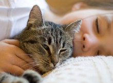 Can-Your-Cat's-Purrs-Bring-You-Good-Health