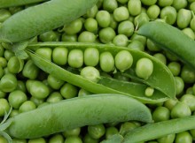 Peas-Green-Balls-of-Goodness