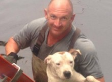 Dog Until The Rescue Mission Is Done