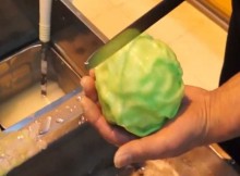How-Can-He-Make-A-Real-Cabbage-From-These