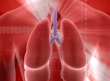 The-Top-5-Herbs-that-Can-Help-Resolve-Respiratory-Issues
