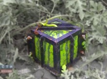Watermelon Inside A Cage For Up To 60 Days! This Is Really New And Strange To Me