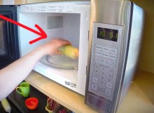 This-Amazing-When-He-Put-The-Corn-Cob-In-The-Microwave
