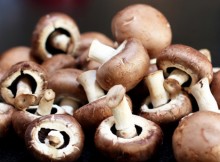 What-Are-Five-Reasons-Why-You-Should-Eat-Mushrooms
