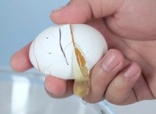 I-Never-Knew-It-Was-Possible-To-Do-This-With-An-Egg