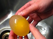 Look-What-Will-Come-Out-Of-This-Odd-Looking-Egg-When-He-Peels-It
