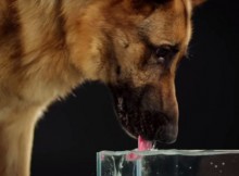 This-Fascinating-Ultra-Slow-Motion-Video-Made-My-Day
