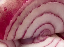 Two-Natural-Homemade-Remedies-that-Can-Eliminate-Cough-Matters-in-One-Day