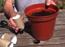 10 Tips On Becoming A Prolific Gardner