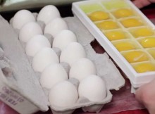 12 Eggs Cracked In The Ice Tray. The Objective