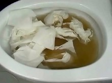 The Koreans Unclog Their Toilets This Way