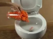 He Dumped 3 Pounds Of Carrots In The Toilet