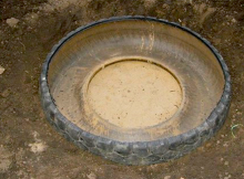 I Watched Him Bury An Old Tire