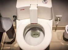 It Just Looks Like Any Toilet, When Flushed