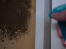 See What She Sprays On The Mold Spot