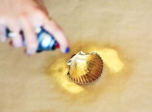 A Seashell Gold Is Sprayed With Paint