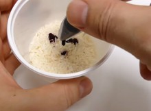He only Needed A Cup Of Rice And Food Coloring