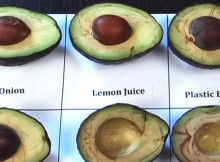I Now Know The Secret Of Preventing My Avocados From Turning Brown