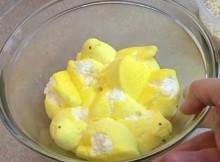 She Put Some Peeps Into The Bowl