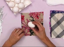 She Used Silk To Wrap Her Eggs