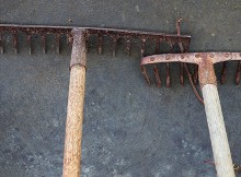 What She Did With The Old, Rusty Rakes Is Inconceivable