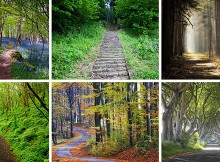 Choose a Route to Your Destiny