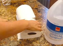 Cutting Paper Towels And Added Vinegar