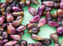Pharmacy-Doesnt-Want-You-to-know-About-This-Cheap-and-Natural-Remedy-Against-the-Deadliest-Disease-–-CANCER