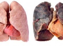 Cleansing The Lungs