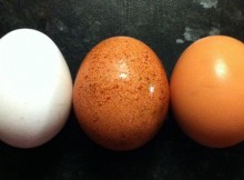 5-Reasons-Why-You-Should-Eat-Eggs