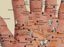 Every-Body-Part-Is-In-The-Palm-Of-Your-Hand-–-Press-The-Points-For-Wherever-You-Have-Pain (1)