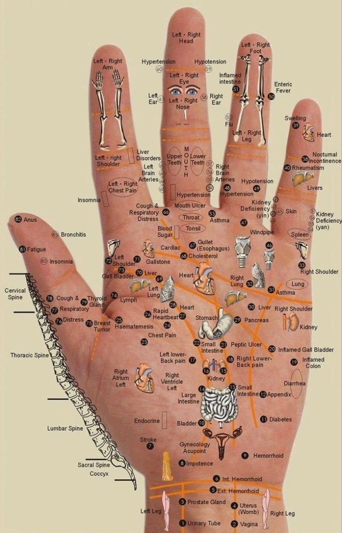 Every-Body-Part-Is-In-The-Palm-Of-Your-Hand-–-Press-The-Points-For-Wherever-You-Have-Pain