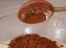 CocoPowderandGreekYogurt