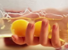 EggsinZiploc