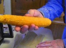 ManHoldingEarofCorn