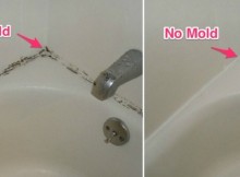 moldbeforeafter2-780x364