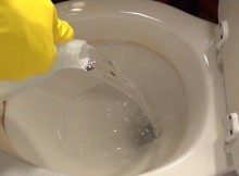 vinegartoilet-Cropped