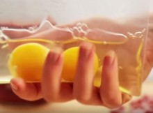 EggsinZiploc