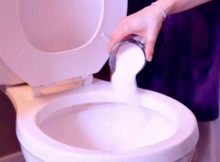 PouringBoraxinToilet