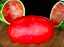 SkinnedWatermelon-e1c16637691