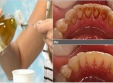ia-In-Your-Mouth-In-No-Time-30059-2
