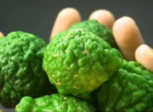 1486040931_alkaline-diet-every-cancer-patient-needs-know-immediately-600x312
