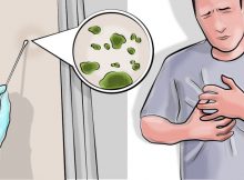 mold-illness215487