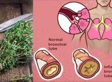 15-“Super-Herbs”-to-Kill-Infections-and-Clear-Mucus-From-Your-Lungs-in-No-Time-678x381