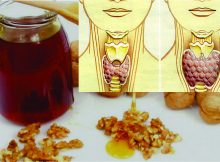 honey2154
