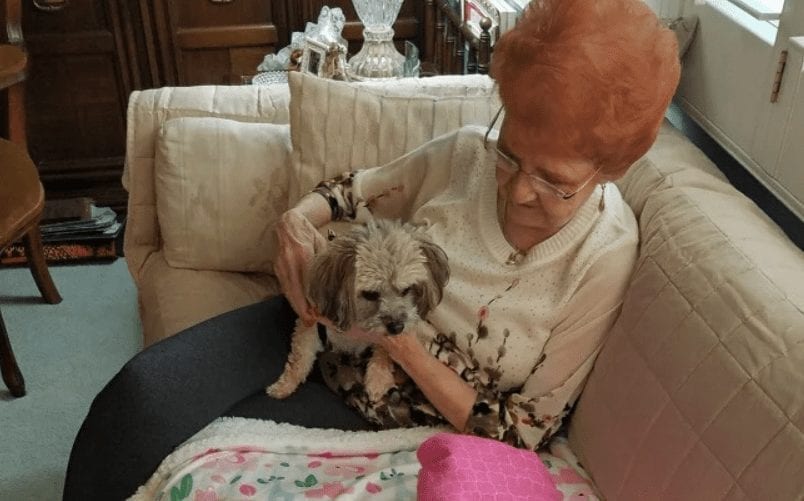 1647306735-5734-10-6