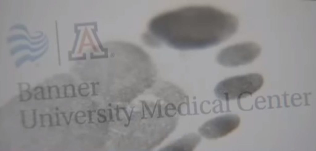 1647306735-7483-7-9-1024x489