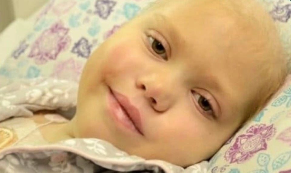 1651890310-3555-1916-2