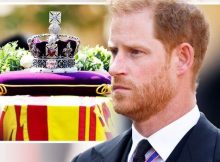 1663645552-3294-harry-lilibet-archie-1669685