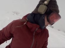 snowboarder-bear